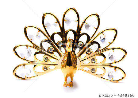 Peackock Peackock 4349366