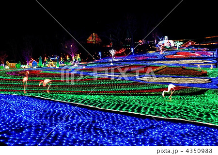 光輝くイルミネーション 4350988