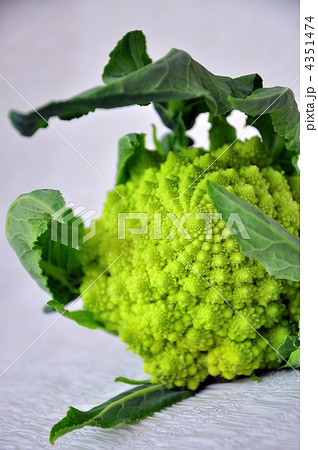 とれたてのロマネスコ 4351474