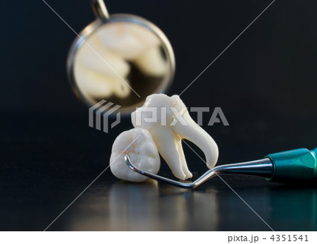 Real Human Wisdom teeth and Dental instruments Real Human Wisdom teeth and Dental instruments 4351541