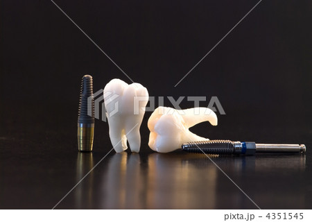 Real Human Wisdom teeth and Dental implants Real Human Wisdom teeth and Dental implants 4351545