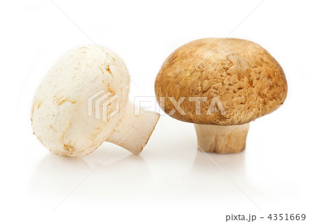 Champignon mushrooms on white background Champignon mushrooms on white background 4351669