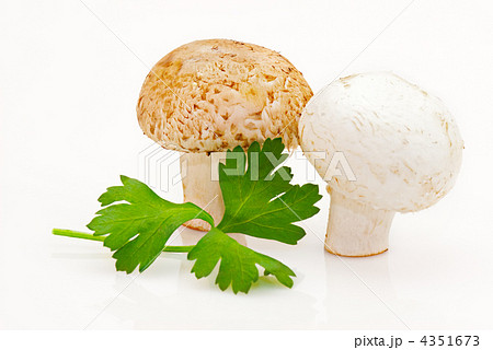 Champignons and green parsley leaves on white background Champignons and green parsley leaves on white background 4351673