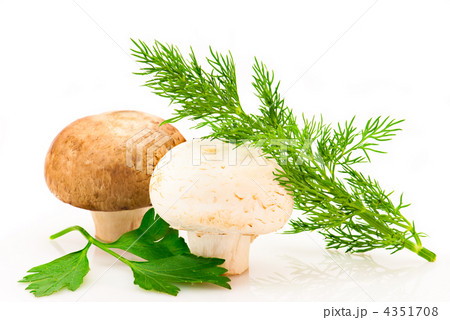 Mushroom. Champignons, green parsley and dill leaves on white ba 4351708