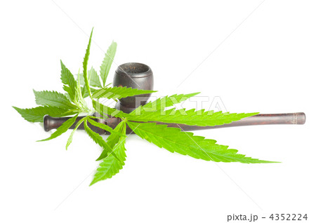Drug cannabis. Marijuana leaf and smoking pipe isolated on white 4352224