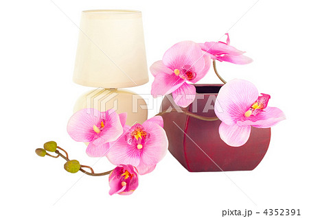 Modern table lamp and branch of artificial orchid flower in pot Modern table lamp and branch of artificial orchid flower in pot 4352391