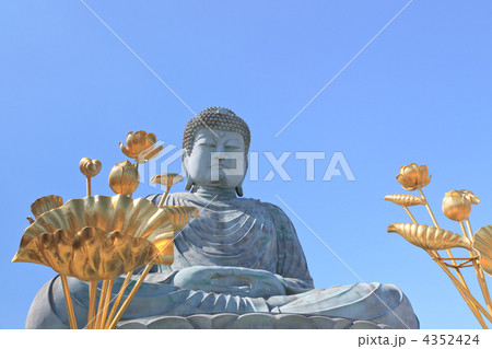 兵庫大仏 4352424