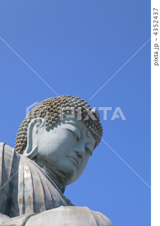 兵庫大仏 4352437