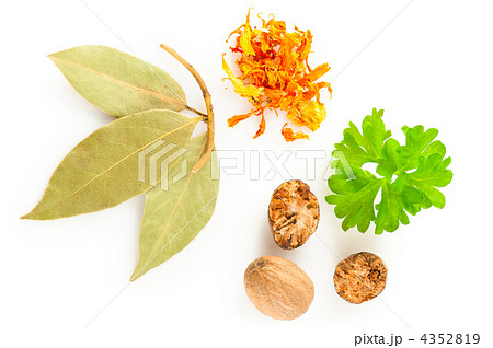 Spices. Mix of different herbs: saffron, laurel, nutmeg and fres 4352819