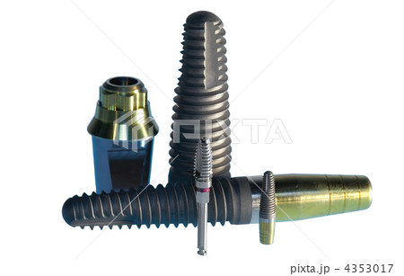 Model of dental implant ant implant in actual size Model of dental implant ant implant in actual size 4353017