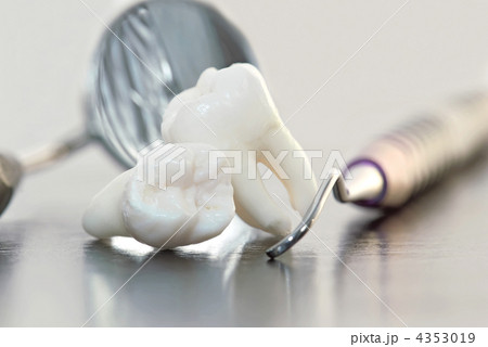 Real Human Wisdom teeth and Dental instruments 4353019