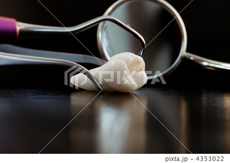 Real Human Wisdom teeth and Dental instruments Real Human Wisdom teeth and Dental instruments 4353022