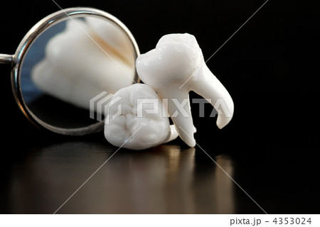 Real Human Wisdom teeth and Dental instruments Real Human Wisdom teeth and Dental instruments 4353024