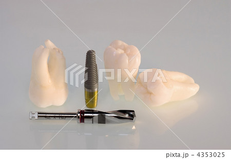 Real Human Wisdom teeth and Dental instruments Real Human Wisdom teeth and Dental instruments 4353025