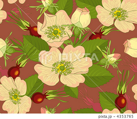 Seamless Background Wild Rose Rosehip 4353765