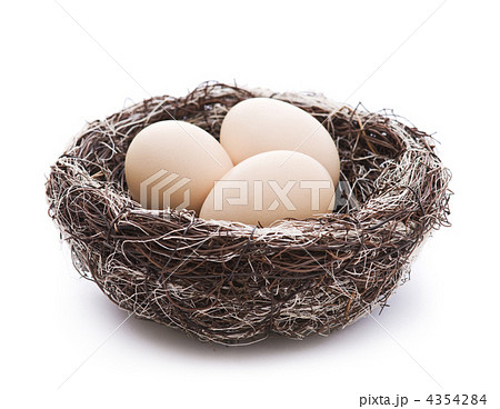 Eggs Eggs 4354284