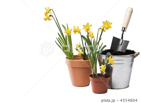 Gardening 4354604