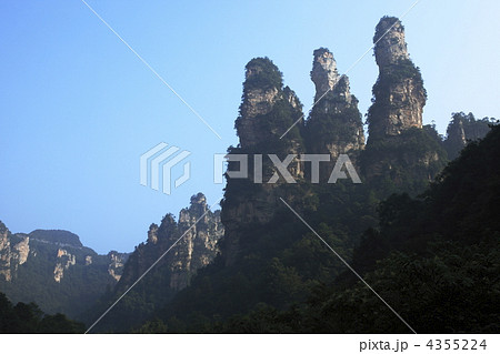 張家界十里画廊三姉妹峰 張家界十里画廊三姉妹峰 4355224