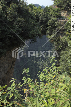 張家界天下第一橋 4355275
