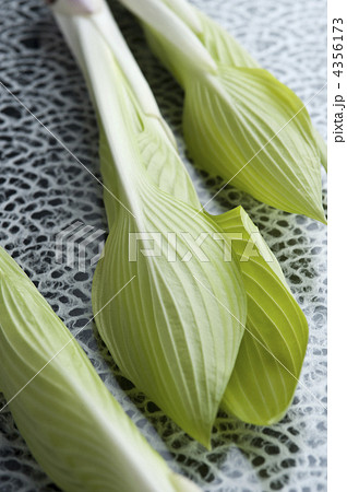 4356173