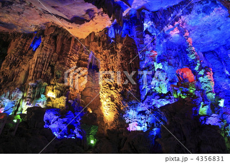 芦笛岩鍾乳洞鳥語花香 4356831