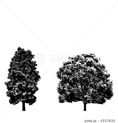 立ち木 立木 樹木シルエットのイラスト素材