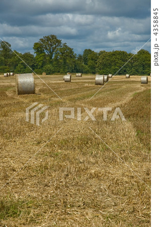 Hay bales in harvest time Hay bales in harvest time 4358845