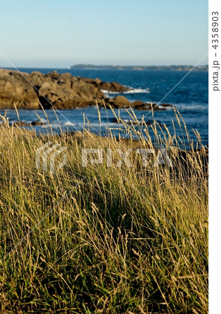 sunset by the sea sunset by the sea 4358903