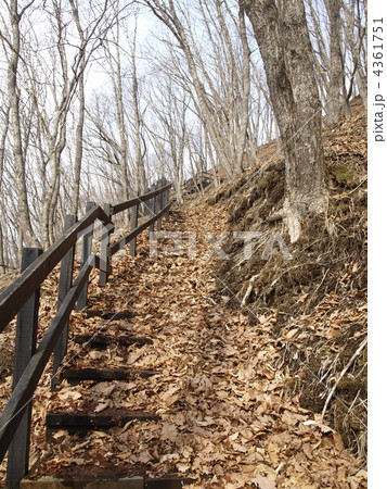 サルボ展望台への木道 サルボ展望台への木道 4361751