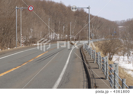 エゾシカ道路横断 エゾシカ道路横断 4361800
