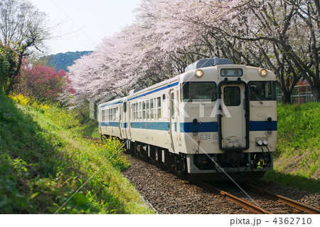 春のJR肥薩線 4362710