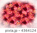 薔薇 4364124