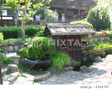 水の町 郡上八幡の水路 水の町 郡上八幡の水路 4364707