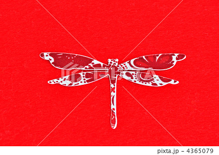 赤トンボ 4365079