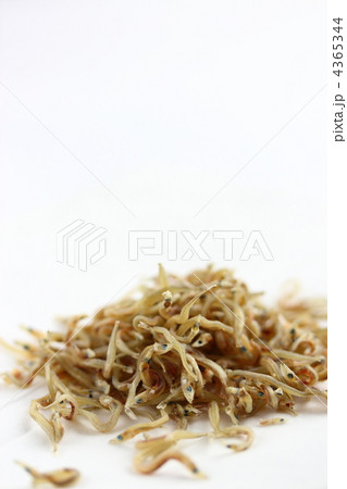 小女子 小女子 4365344