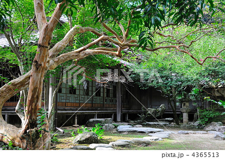 日本庭園 4365513