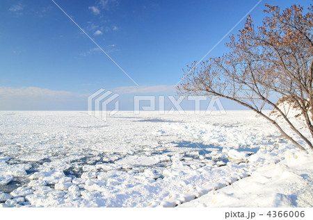 オホーツク（網走・知床）の流氷 4366006