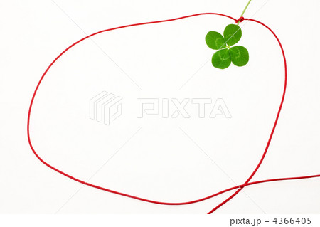 赤い糸と四つ葉のクローバー 4366405