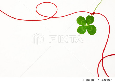 赤い糸と四つ葉のクローバー 4366407