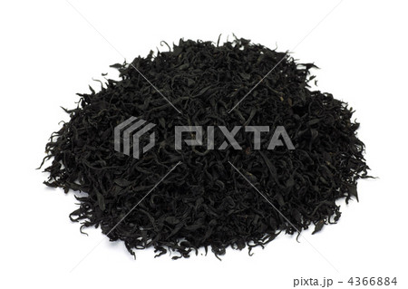 ヒジキ 4366884