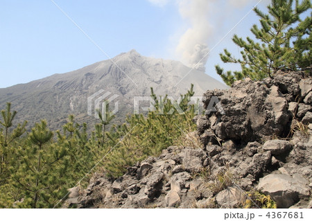桜島と溶岩 4367681