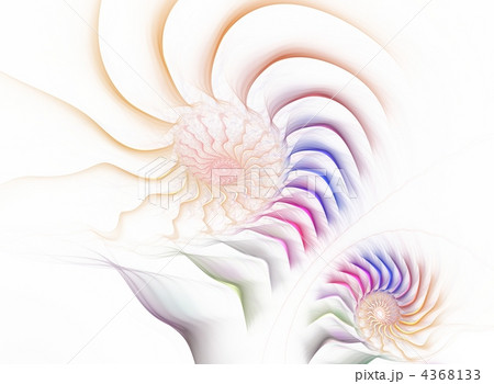 艶やかなFAN 艶やかなFAN 4368133