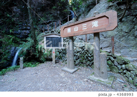 黒山三滝 黒山三滝 4368993