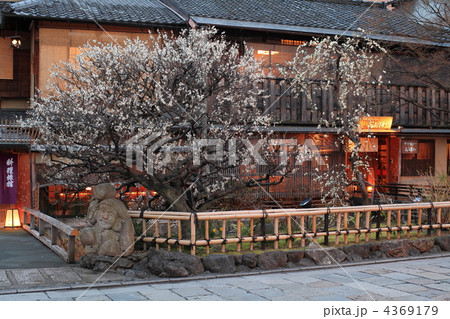 早春の祇園白川 4369179