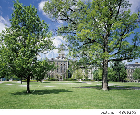 コーネール大学 4369205