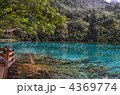 4369774