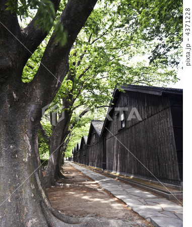 酒田・山居倉庫 4371228