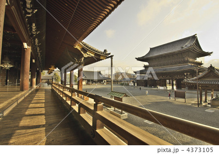京都 東本願寺 御影堂 京都 東本願寺 御影堂 4373105