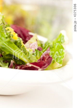 fresh salad fresh salad 4375306