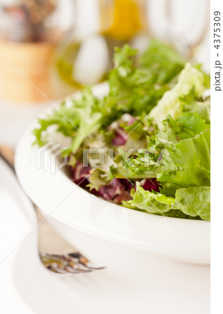 fresh salad fresh salad 4375309
